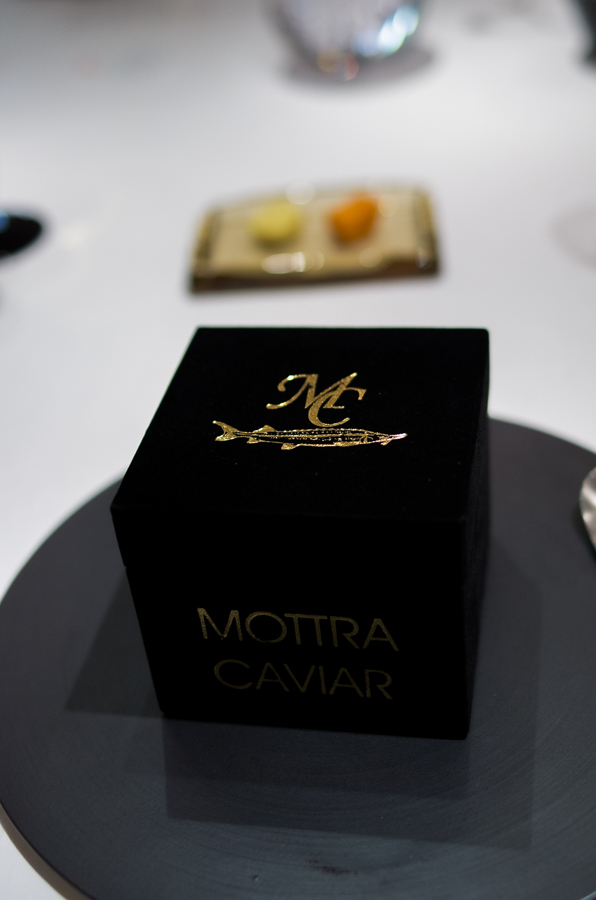 IMGP6603.jpg(193786 byte)