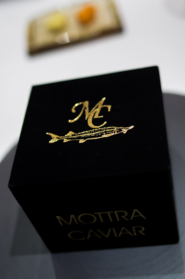 IMGP6606.jpg(196690 byte)