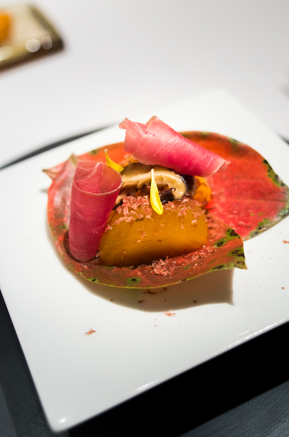 IMGP6639.jpg(271611 byte)