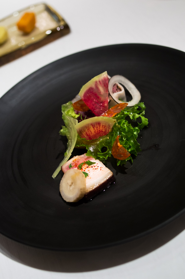 IMGP6657.jpg(272902 byte)