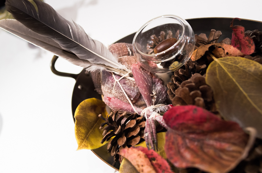 IMGP6697.jpg(380407 byte)