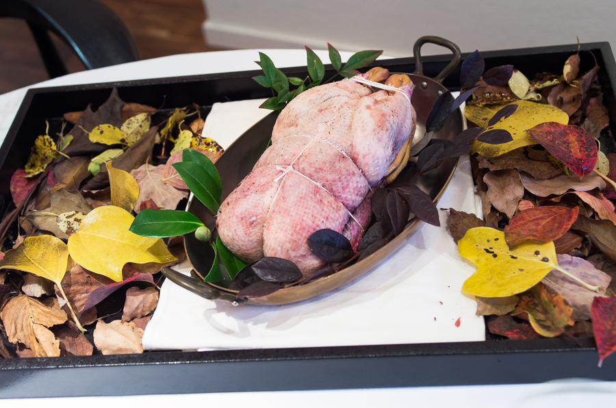 IMGP7295.jpg(472967 byte)