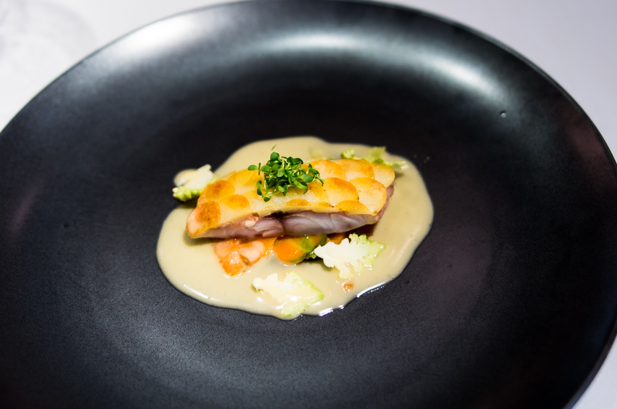 IMGP7322.jpg(312241 byte)