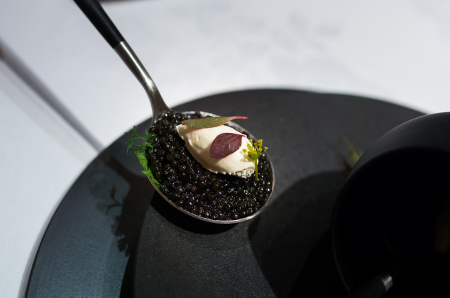 IMGP0695.jpg(256213 byte)