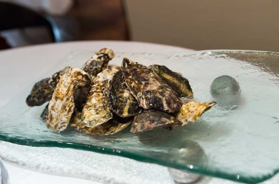 IMGP0763.jpg(399404 byte)