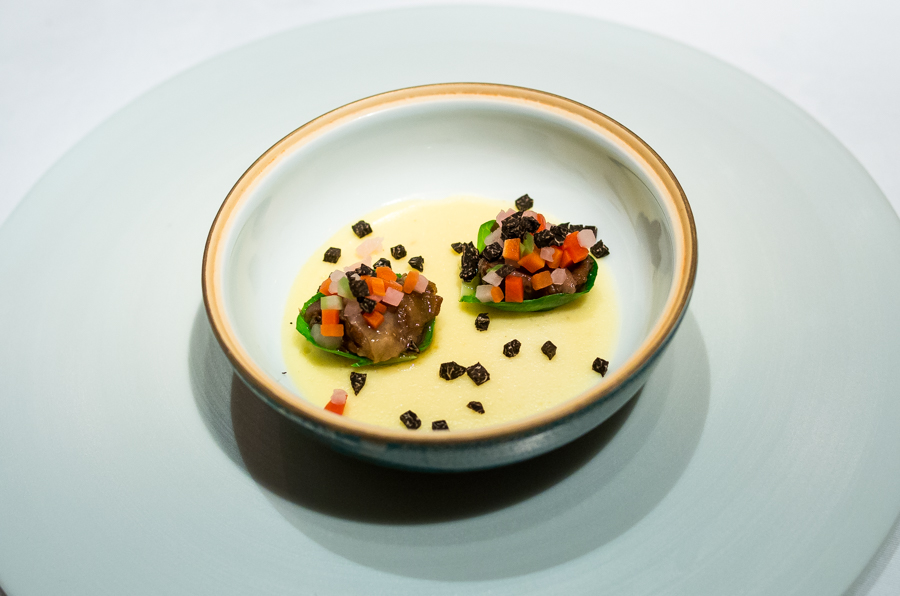 IMGP0830.jpg(290089 byte)