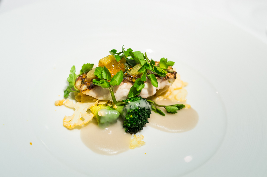 IMGP0879.jpg(239275 byte)