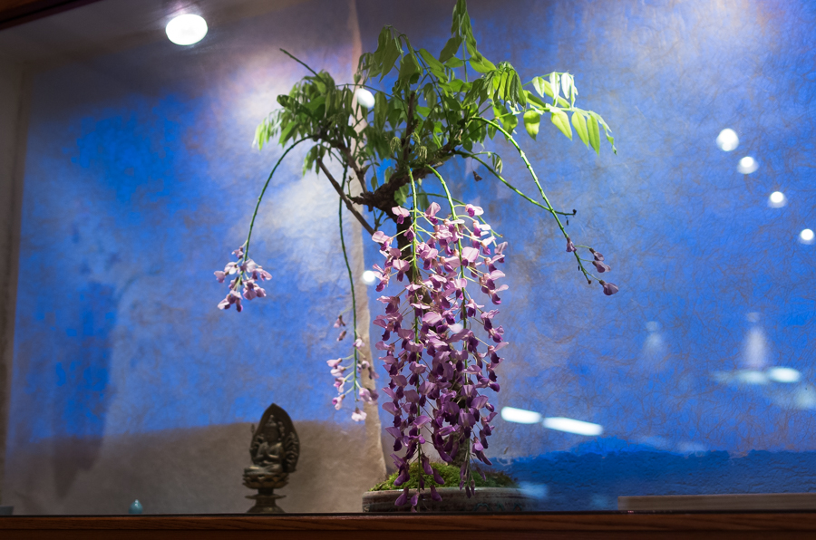 IMGP9410.jpg(502033 byte)