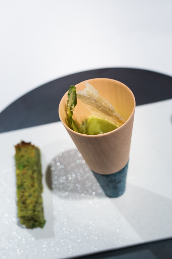 IMGP9500.jpg(229036 byte)