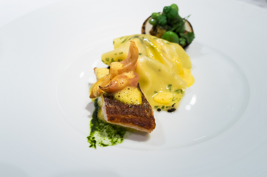 IMGP9605.jpg(238022 byte)