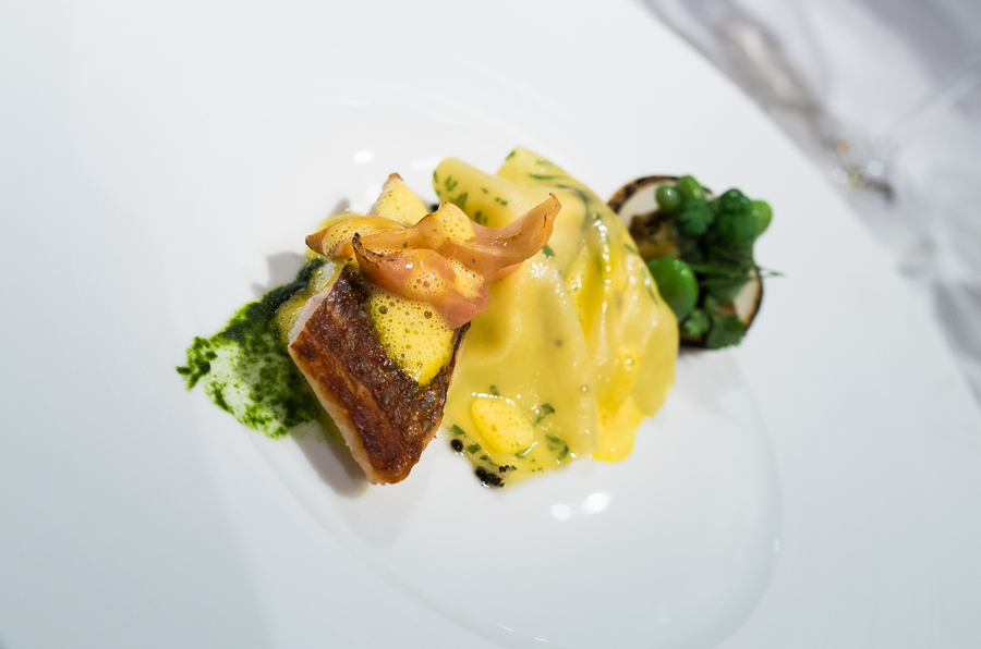 IMGP9607.jpg(246950 byte)