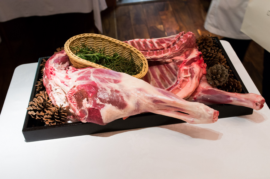 IMGP0937.jpg(431011 byte)