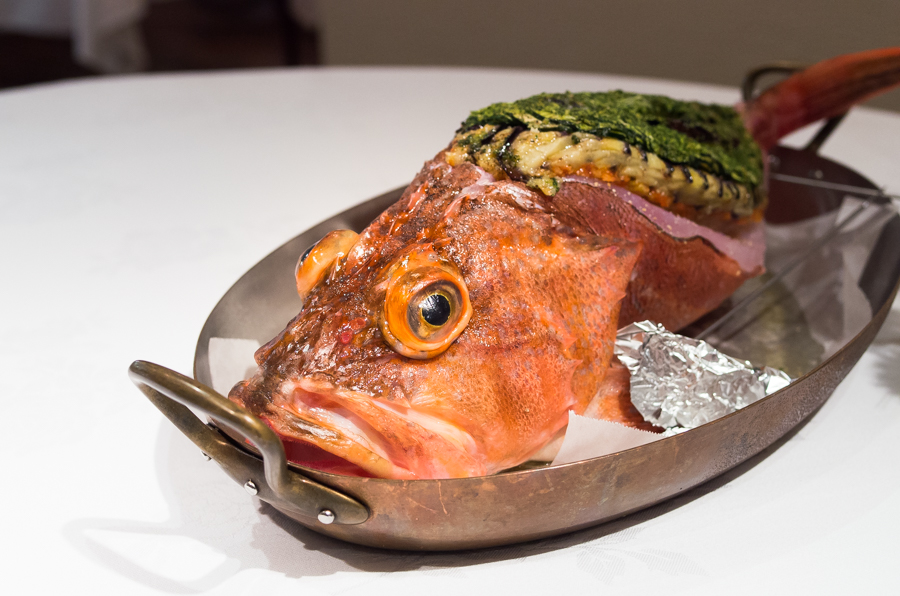 IMGP0951.jpg(410968 byte)