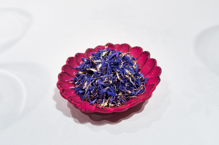 IMGP1019.jpg(314193 byte)