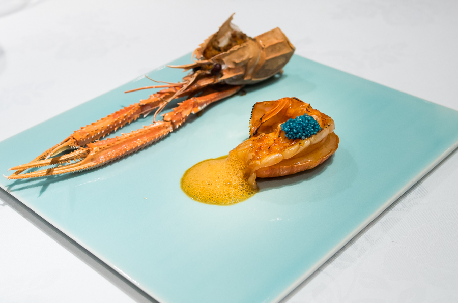 IMGP1067.jpg(319880 byte)