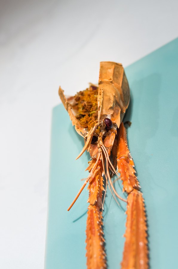 IMGP1082.jpg(279880 byte)