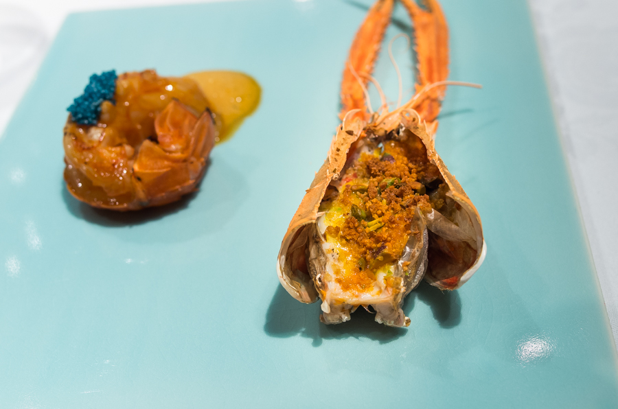 IMGP1084.jpg(339038 byte)