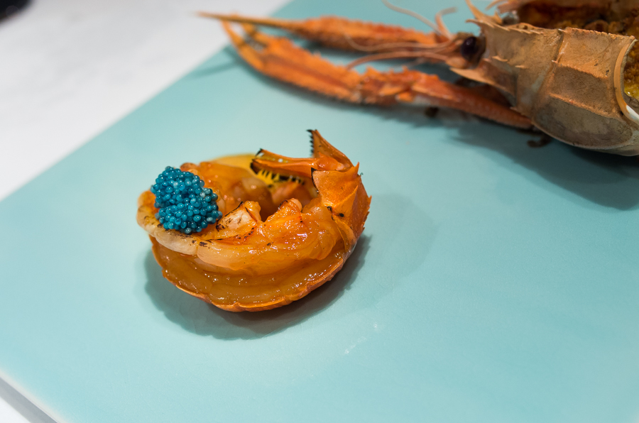 IMGP1087.jpg(322722 byte)