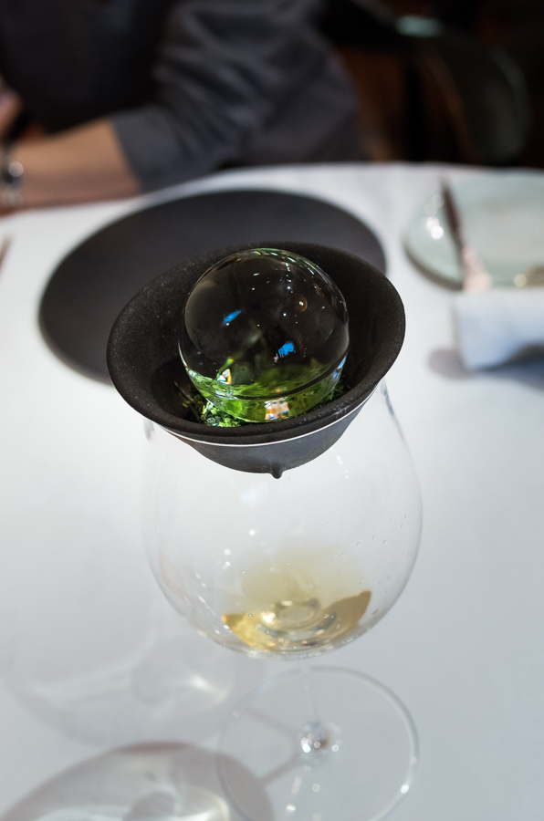 IMGP6122.jpg(245634 byte)