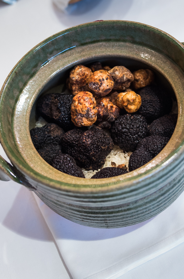 IMGP6148.jpg(450046 byte)