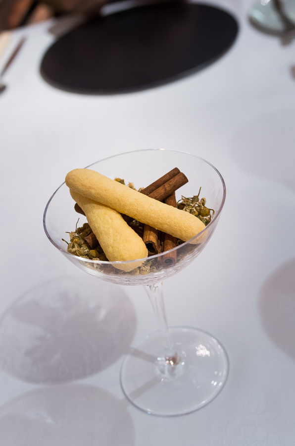 IMGP6157.jpg(245023 byte)