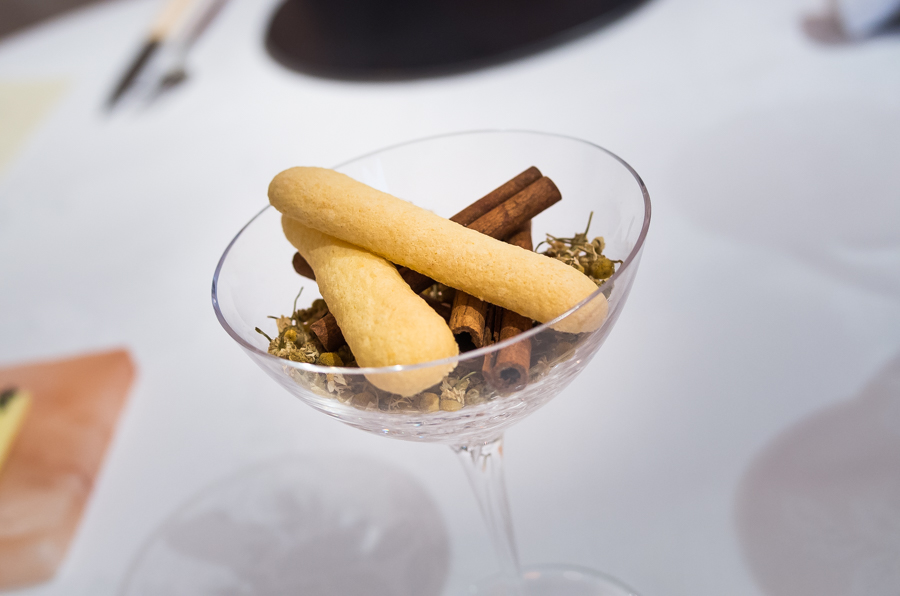 IMGP6163.jpg(236856 byte)