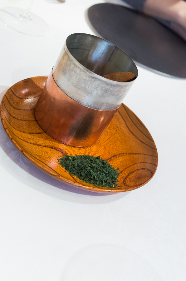 IMGP6189.jpg(325829 byte)