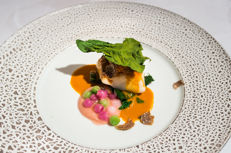 IMGP6285.jpg(502900 byte)