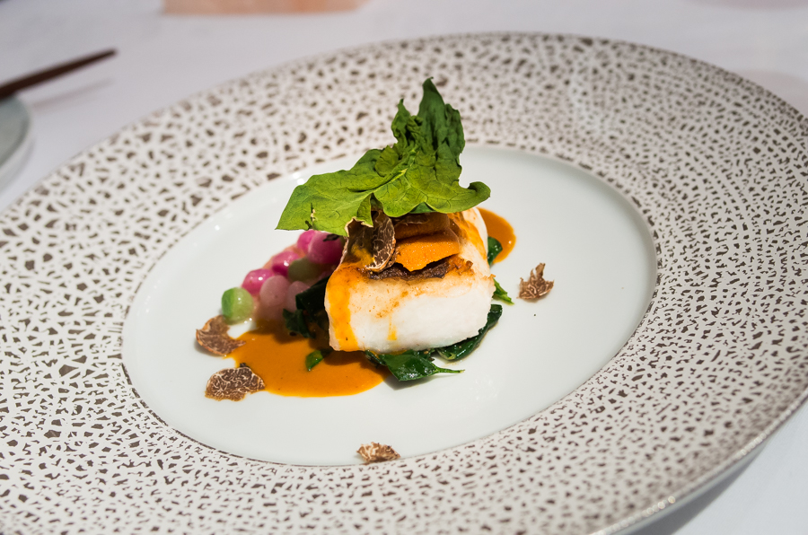 IMGP6301.jpg(463778 byte)