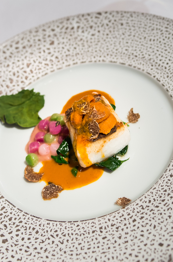 IMGP6303.jpg(430650 byte)