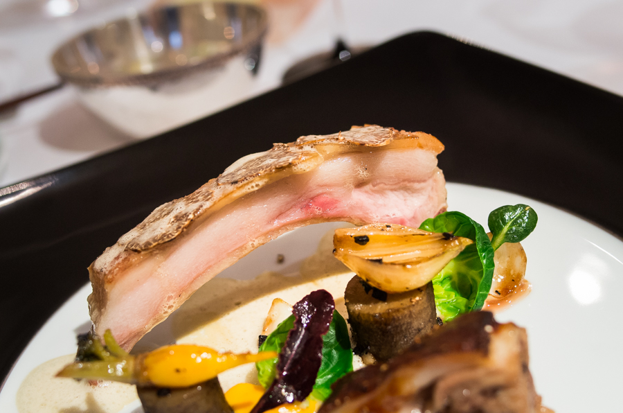 IMGP6357.jpg(389023 byte)