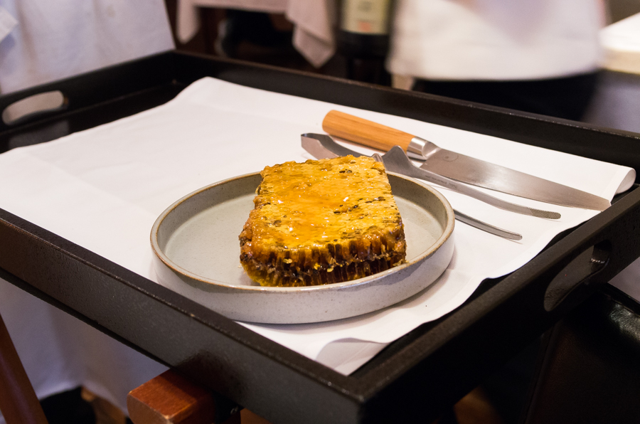 IMGP6379.jpg(363999 byte)