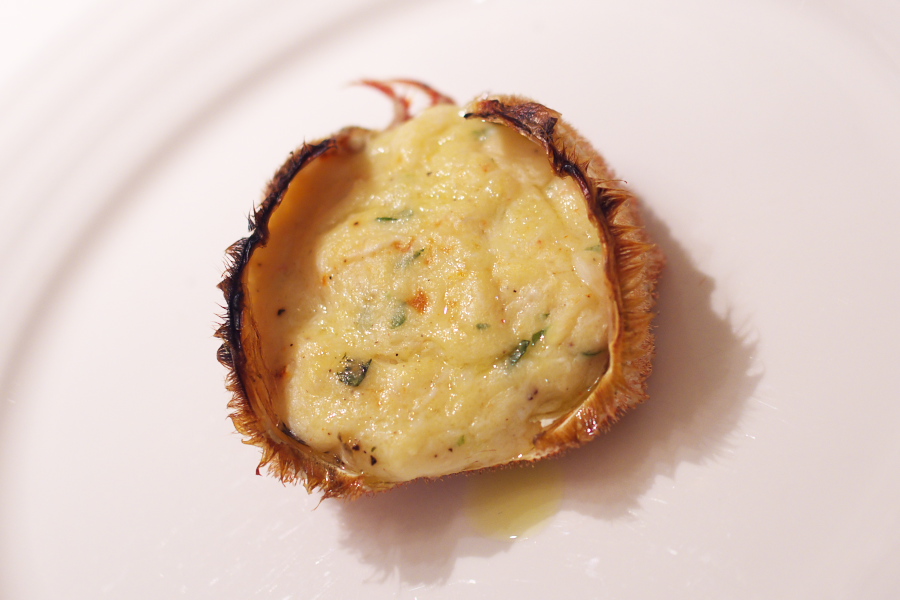 IMGP1639.jpg(193664 byte)