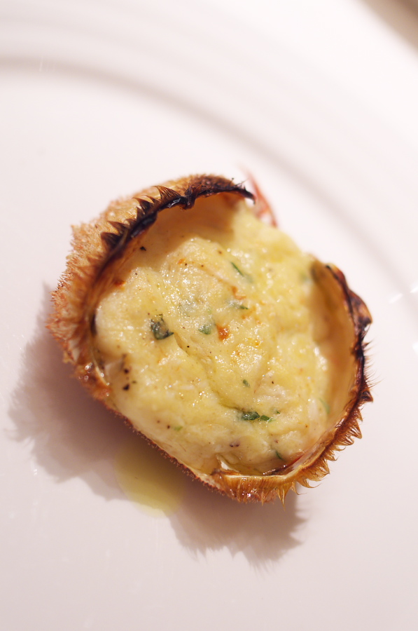 IMGP1641.jpg(175385 byte)