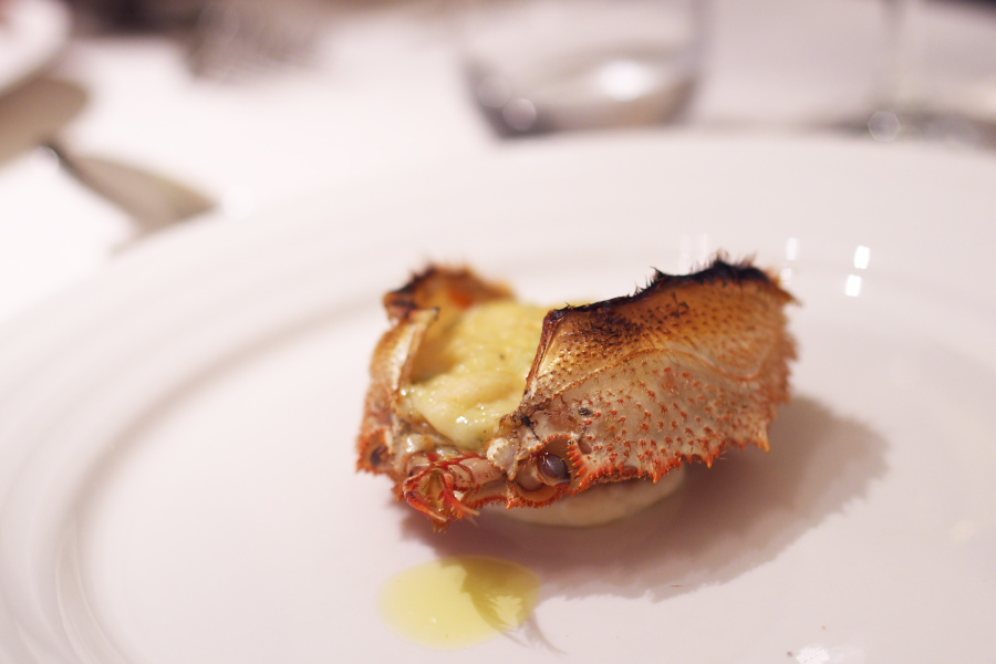 IMGP1644.jpg(157889 byte)