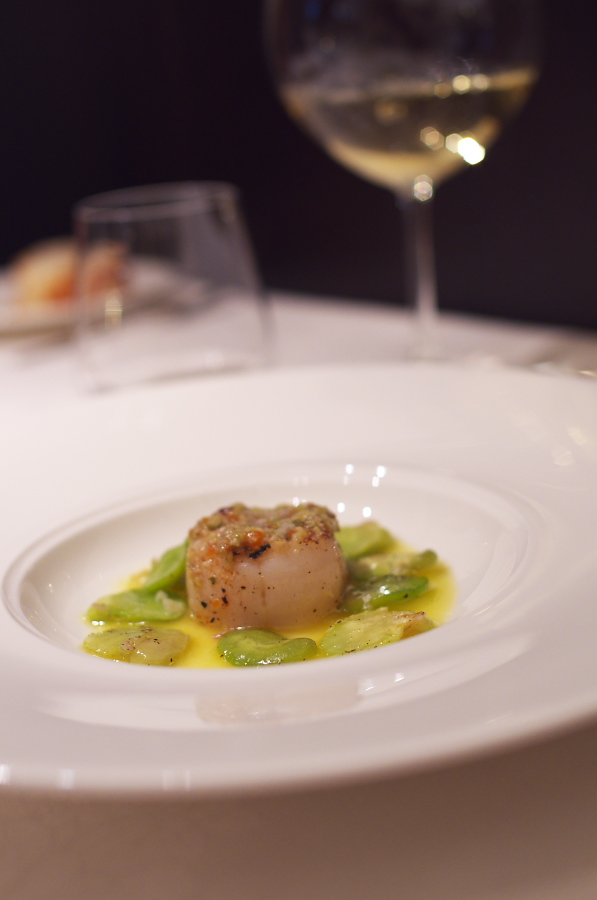 IMGP1656.jpg(153360 byte)