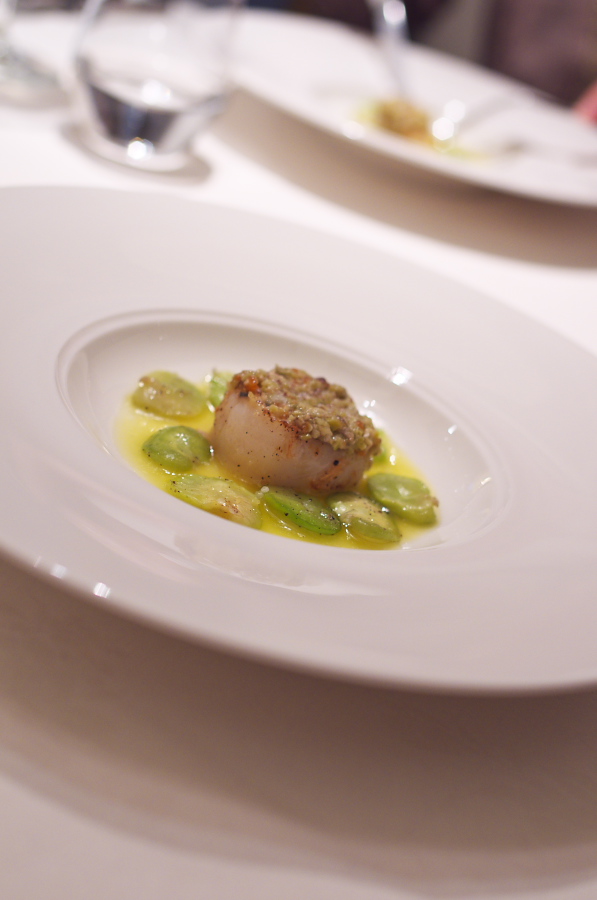 IMGP1663.jpg(160831 byte)