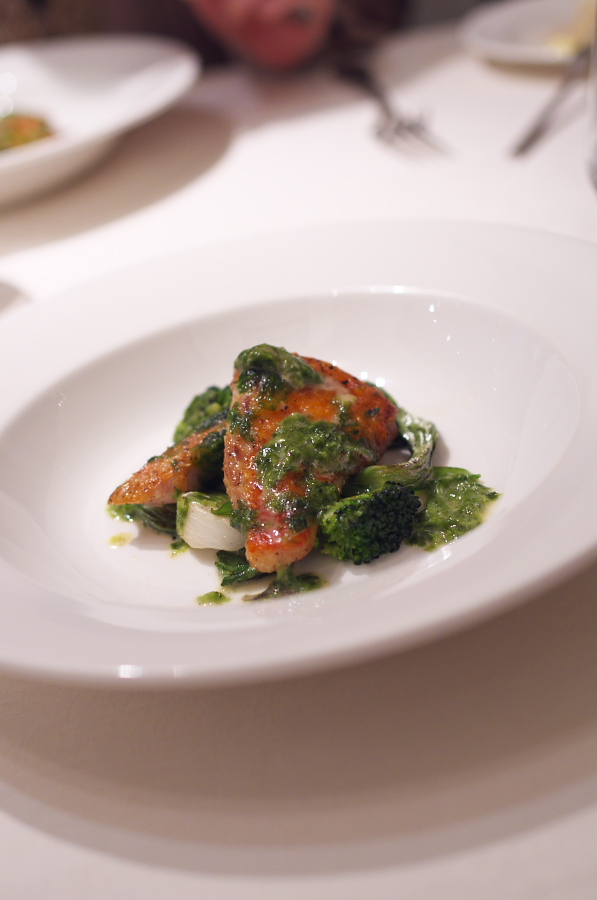 IMGP1668.jpg(174246 byte)