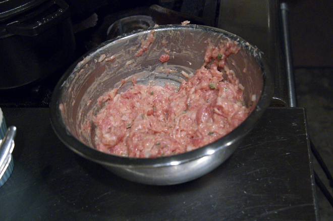 IMGP2251.jpg(197363 byte)