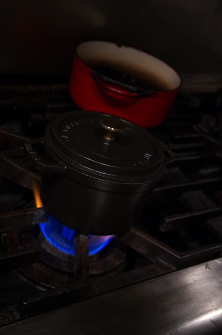 IMGP2261.jpg(97537 byte)