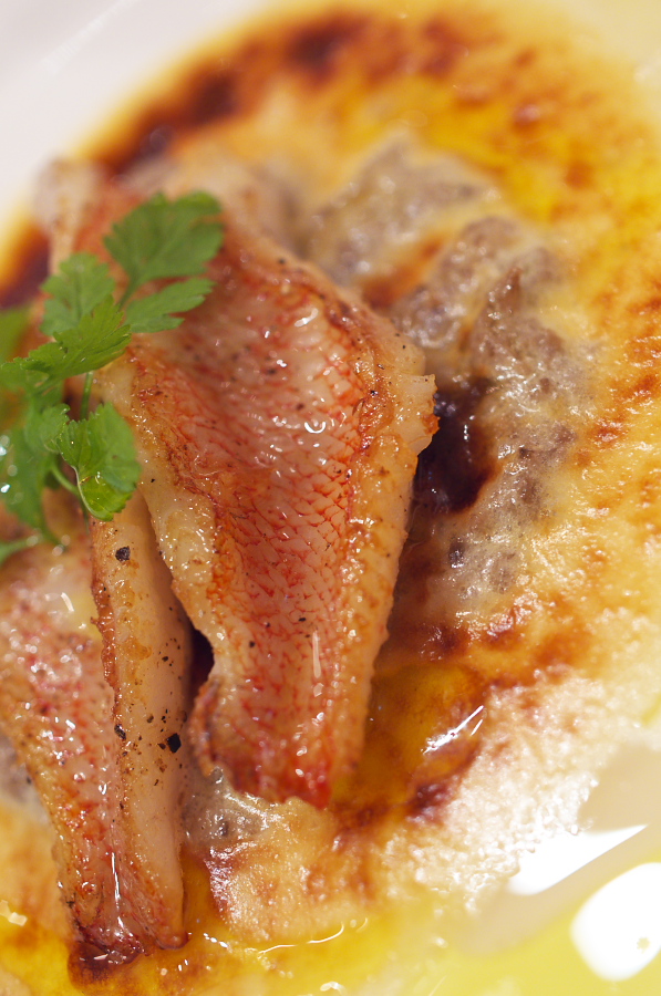 IMGP4049.jpg(328687 byte)