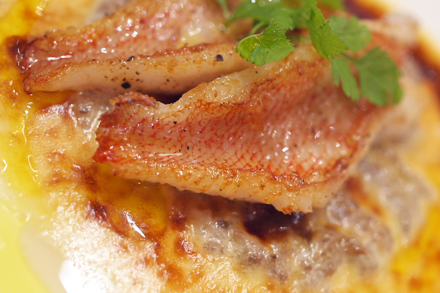 IMGP4051.jpg(338117 byte)