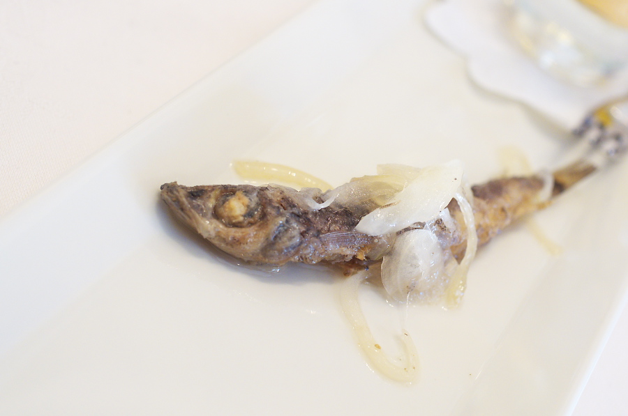 IMGP0859.jpg(157689 byte)