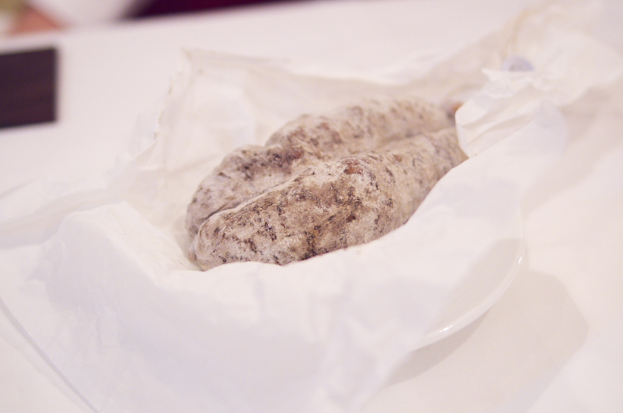 IMGP6509.jpg(173086 byte)