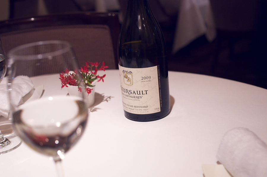 IMGP2260.jpg(203249 byte)