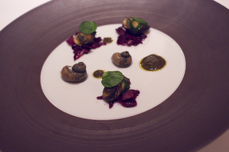 IMGP2262.jpg(251783 byte)