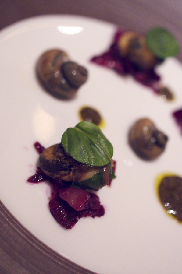 IMGP2266.jpg(230405 byte)