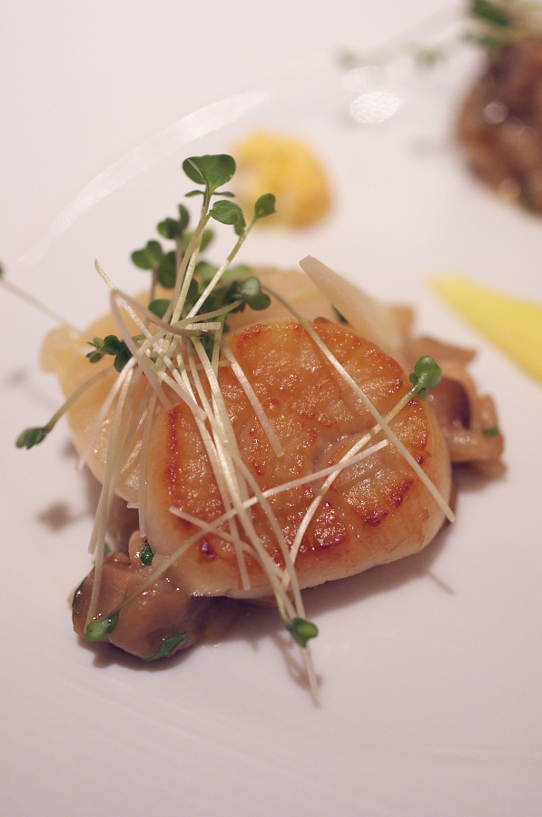 IMGP2279.jpg(245261 byte)