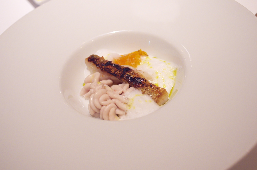 IMGP2286.jpg(193536 byte)