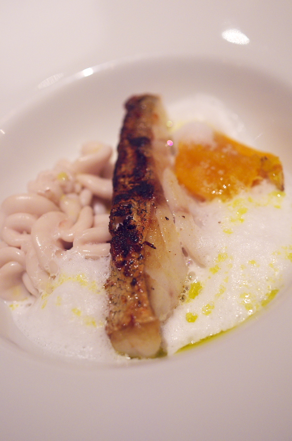 IMGP2294.jpg(240154 byte)